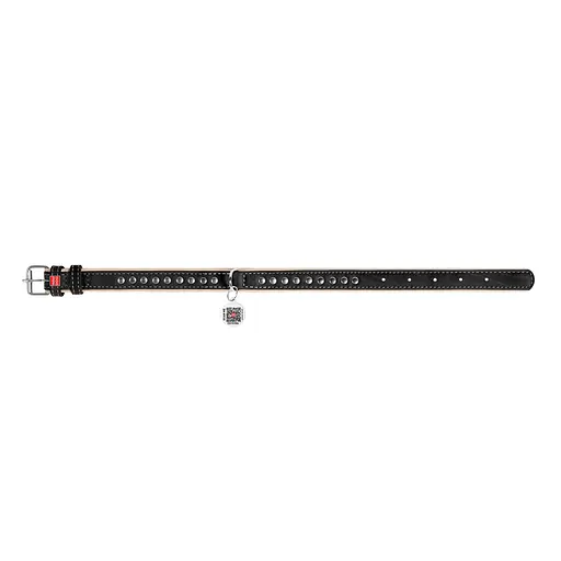 Нашийник для собак шкіряний Waudog Soft з QR-паспортом металічні прикраси Ш 15 мм Д 27-36 см чорний - фото 7