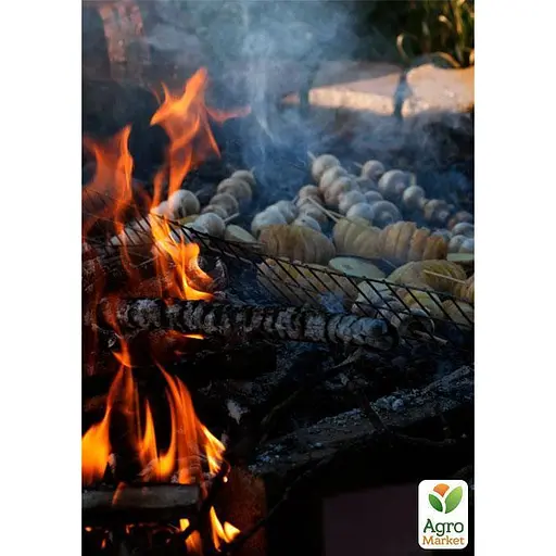 Міцелій на дубових брусочках "Плюта оленячий" 10шт (45275) - фото 2