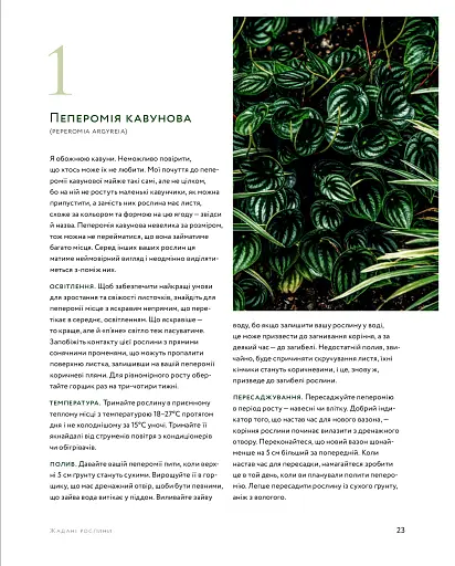 Дикі інтер’єри. Красиві рослини в чудових просторах - фото 11