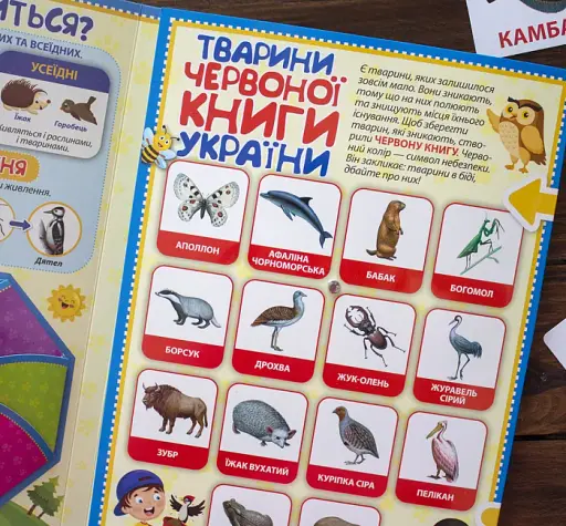 Тварини. Лепбук - фото 4