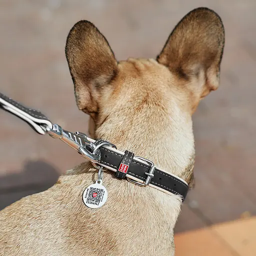 Нашийник для собак шкіряний Waudog Soft з QR-паспортом Ш 20 мм Д 30-39 см чорний - фото 4