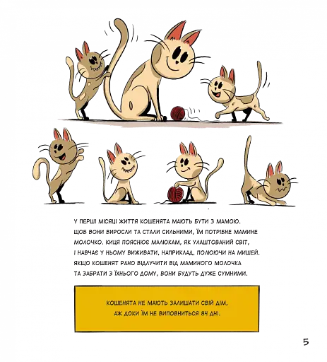 Коти чудові, але... - фото 4