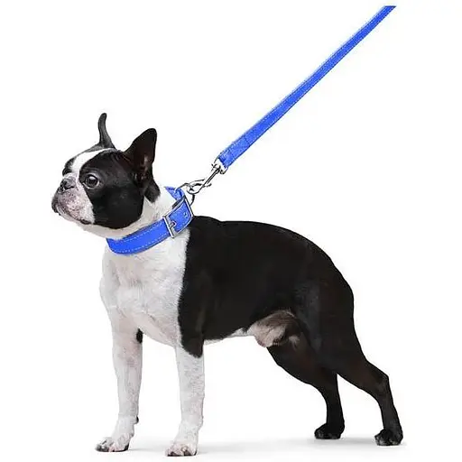 Поводок Dog Extreme из нейлона двойной (ширина 20мм, длина 122см), голубой - фото 6