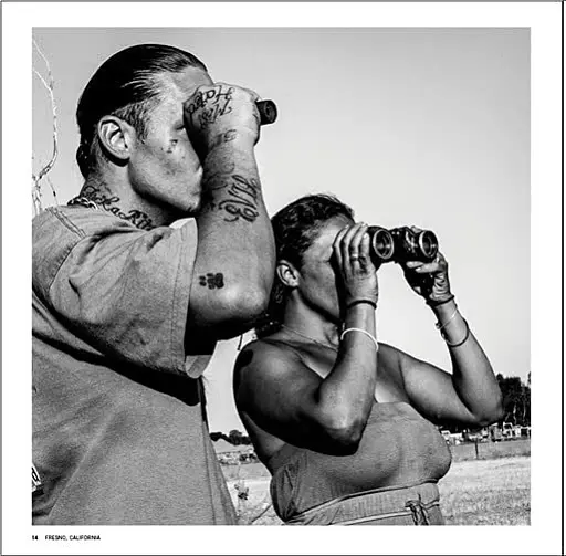 American Geography: A Reckoning with a Dream - фото 2