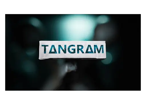 Карти гральні United States Playing Card Company Tangram Playing Сards (ВР_КИТПК) - фото 2