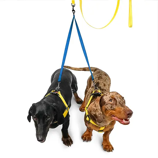 Поводок-спарка для собак рефлекторный Barksi Active (ширина 16 мм, длина 80 см) синий - фото 4