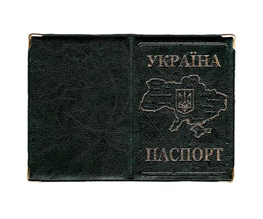 Обложка кожзам на паспорт Карта 52838, тиснение золотом Зелёный - фото 1