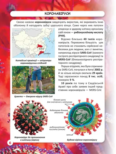 Світ навколо нас. Віруси - фото 2