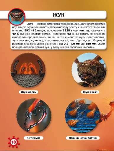 Світ навколо нас. Мікросвіт - фото 4