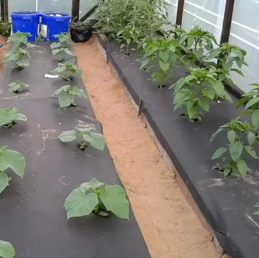 Агроволокно Shadow 42 г/м² 1.6 x 100 м АВЧР00001 - фото 3