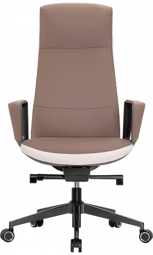 Офісне крісло GT Racer (B-3195 Beige/Brown) - фото 2