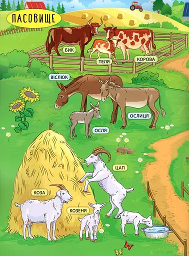 Енциклопедія з наліпками. Свійські тварини - фото 2