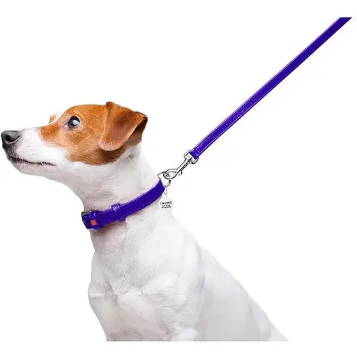 Повідець для собак Waudog Glamour шкіряний, фіолетовий - фото 5