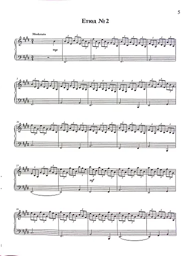 Етюди для бандури - фото 5