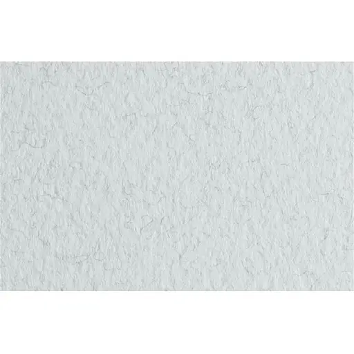 Бумага для пастели Fabriano Tiziano A3 (29.7х42см) №32 brina 160г/м2 белая среднее зерно - фото 1