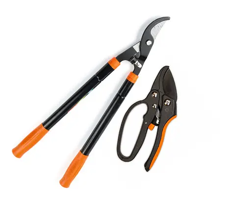 Набор садовых инструментов Polax сучкорез телескопический 560-730 мм и секатор с храповым механизмом (770-23) - фото 1