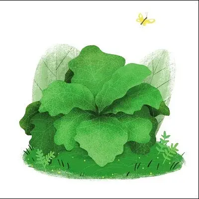 Лисичка Френні шукає чорницю. Друзі з лісу - фото 9