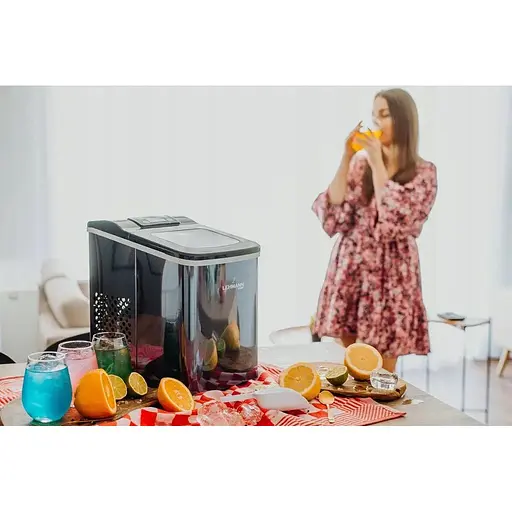 Льодогенератор Lehmann Syowa 12 кг 2 л - фото 10