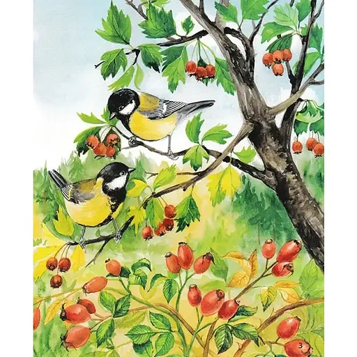 Энциклопедия дошкольника: Лес - Каспарова Юлия - фото 4