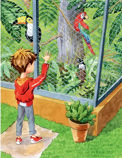 Дива до Різдва - фото 4