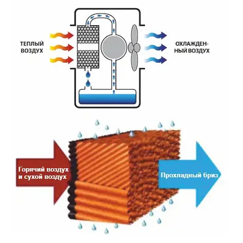 Кондиціонер Master CCX 4.0 - фото 5