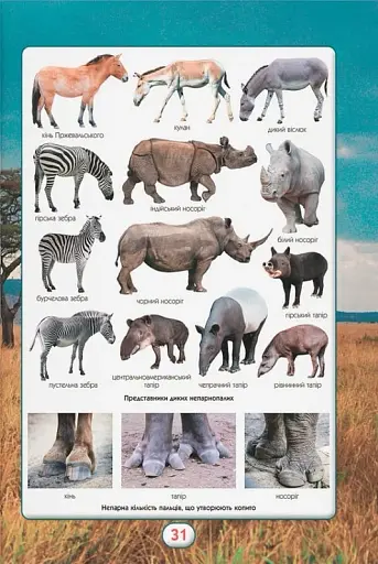 Ви маєте це знати. Світ звірів - фото 7