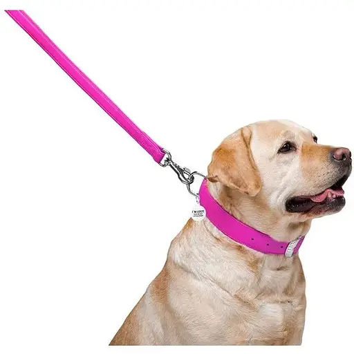 Повідець для собак Waudog Glamour шкіряний, рожевий - фото 4