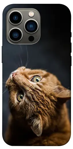 TPU чохол Рудий кіт - фото 1