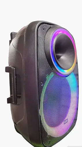 Профессиональная Bluetooth колонкa NDR-A55 15-дюймовая с беспроводным микрофоном - фото 3