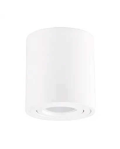 Точковий світильник Polux 318459 Orion GU10 1x10W IP20 WH - фото 1