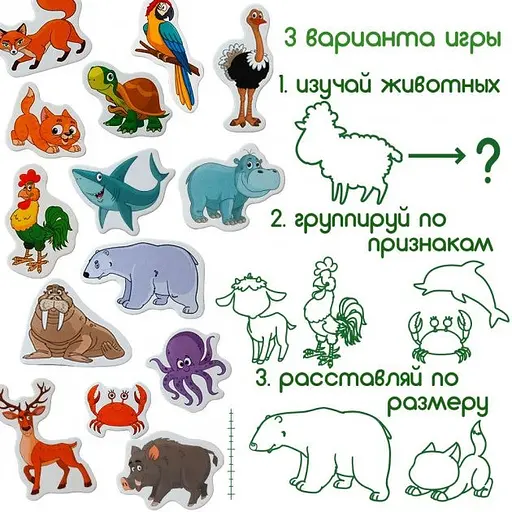 Набір магнітів Magdum Тварини ML4031-16 EN - фото 4