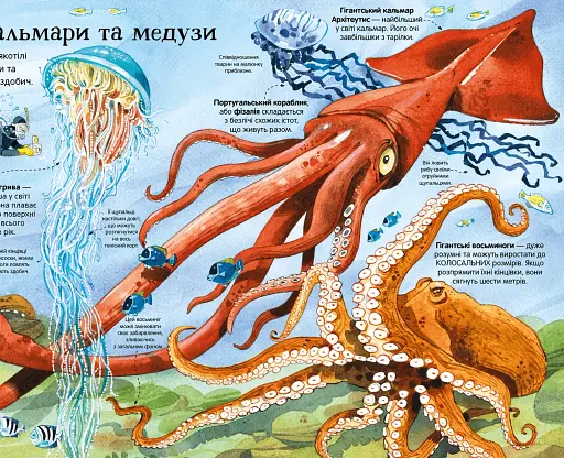 Велика книга морських мешканців - фото 6