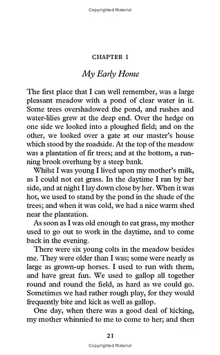 Black Beauty - фото 9