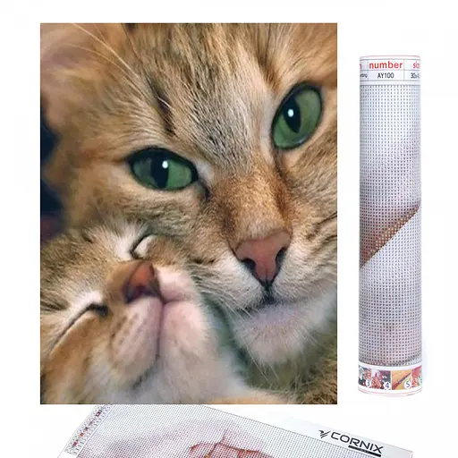 Набір алмазної мозаїки (вишивки) Cornix Art 40 x 30 см AY95 - фото 1