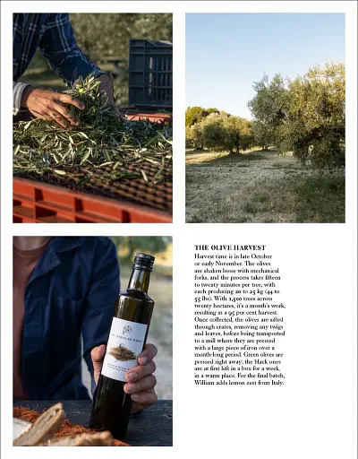 Living Wild. New Beginnings in the Great Outdoors - фото 8