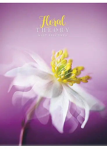 Комплект 4 шт загальних зошитів. Зошит Школярик А5 80 арк. у лінію 5065 4823088207774 - фото 2