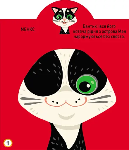 Грайка-розвивайка. Котики. 69 великих наліпок - фото 2