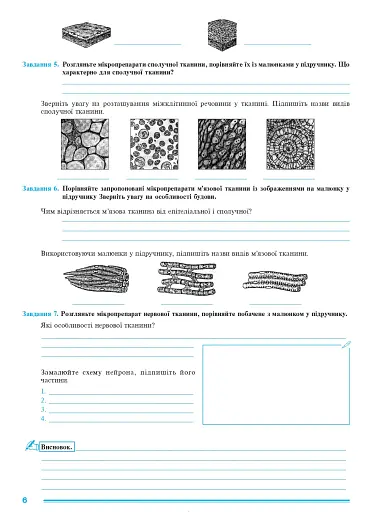 Біологія. Зошит для лабораторних робіт. 8 клас - фото 5