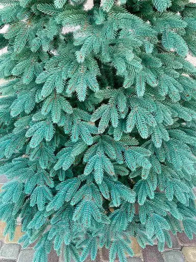 Штучна пухнаста ялинка Преміум (висота 3.50 м) лита (Блакитна) - фото 9