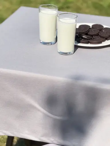 Водоотталкивающая cкатерть Темно-серый однотон 280х140 см (+ 6 салфеток 30х40) - фото 8