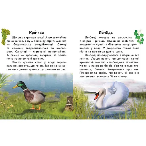 Читаю про Украину по слогам "Животные рек и морей" 366024 с цветными иллюстрациями - фото 4