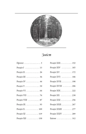 Лист з Ватикану. Нотатки Семена Паливоди - фото 12