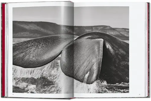 Sebastiao Salgado. Genesis. 45th Edition - фото 3