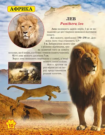 Світ навколо нас. Дикі тварини - фото 3