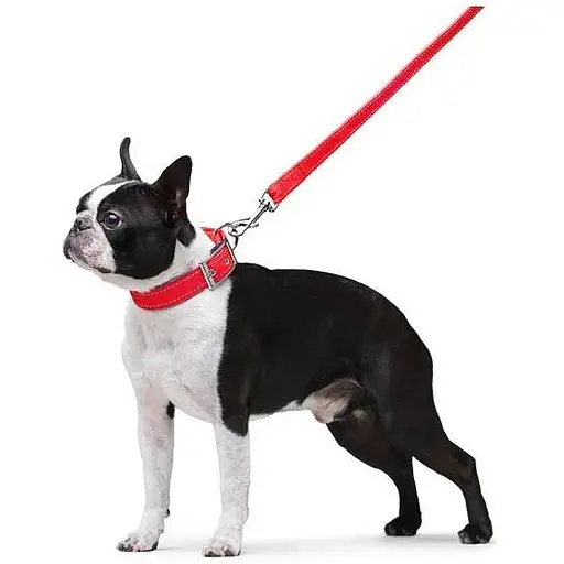 Поводок Dog Extreme из нейлона двойной (ширина 20мм, длина 122см), красный - фото 6