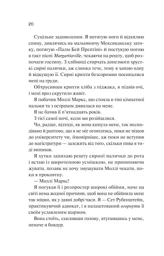 Просто якась дурна історія кохання - фото 14