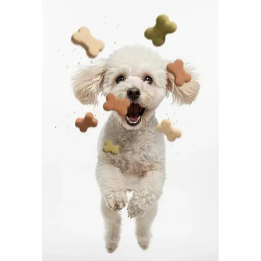 Лакомство для собак Печенье Ginger Cookies Gerky Mix 135 г  - фото 5