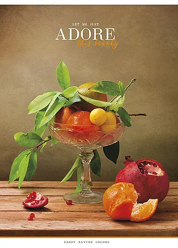 Комплект 4 шт общих тетрадей. Тетрадь Школярик А5 48 л. в линию 5067 4823088207620 - фото 5