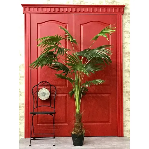 Пальма Лівістона Hvoya в горщику 180 см - фото 3