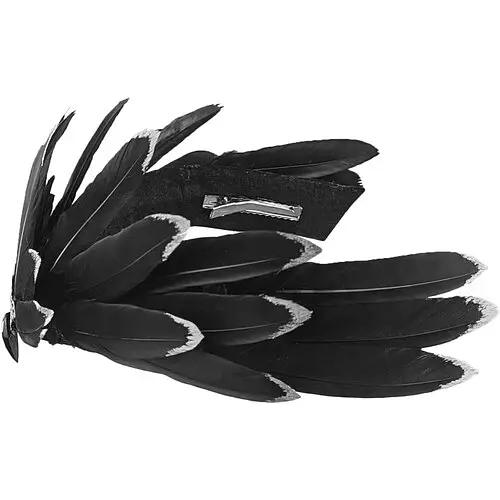 Тіара Фенікс - фото 3